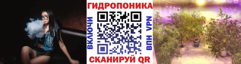 Конопля Старица